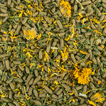 Tropical Soft Line Reptiles herbivore - Imagem 3