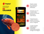 Tropical FD Calanus - Imagem 2