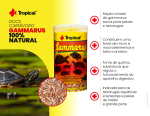 Tropical Gammarus - Imagem 2