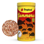 Tropical Gammarus