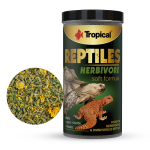 Tropical Soft Line Reptiles herbivore