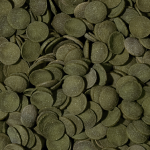 Tropical Green Algae Wafers - Imagem 3