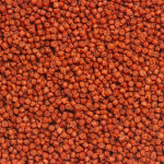 OceanTech Daily Gran - Imagem 3