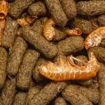 OceanTech Turtle Mix - Imagem 3