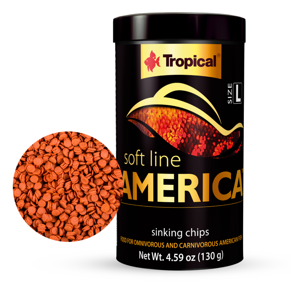 TRO-america-size-l_site